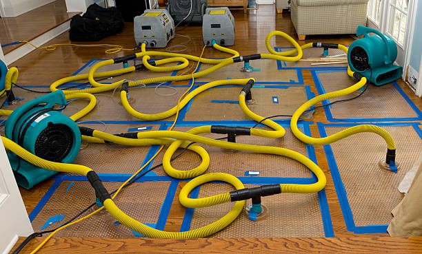 Professional Crawl Space Water Removal technician working in Palmer, IA